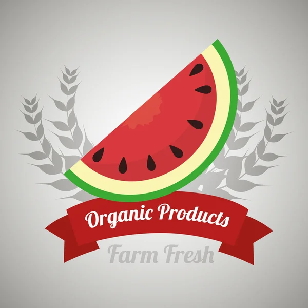 Prodotti biologici azienda agricola fresca — Vettoriale Stock