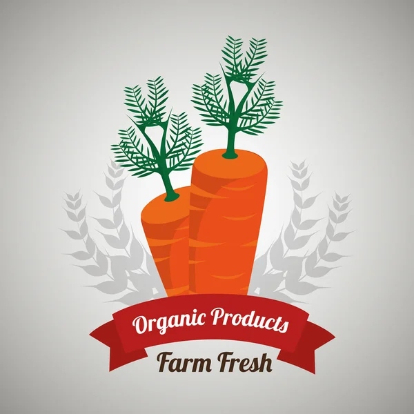 Organic products farm fresh — Stock Vector