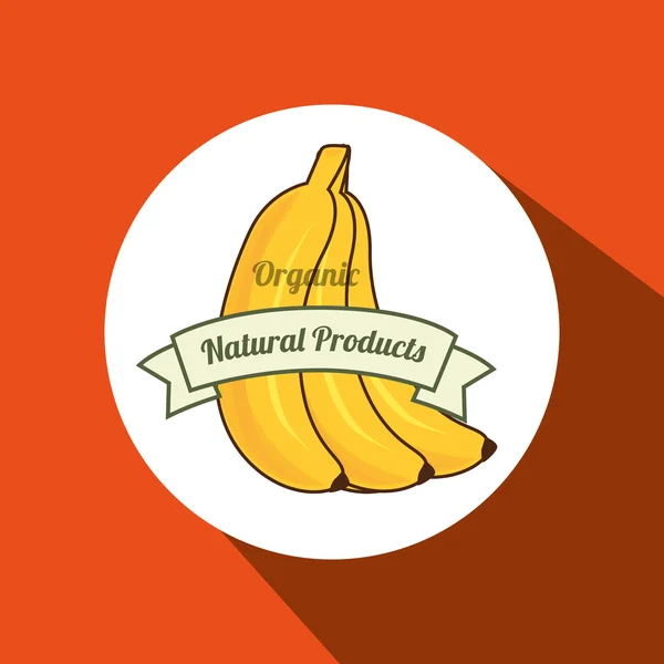 Productos naturales alimentos saludables — Vector de stock