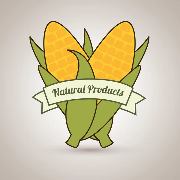 Doğal ürünler gıda sağlıklı — Stok Vektör