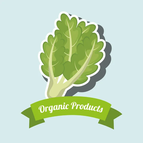 Organic products farm fresh — Stock Vector