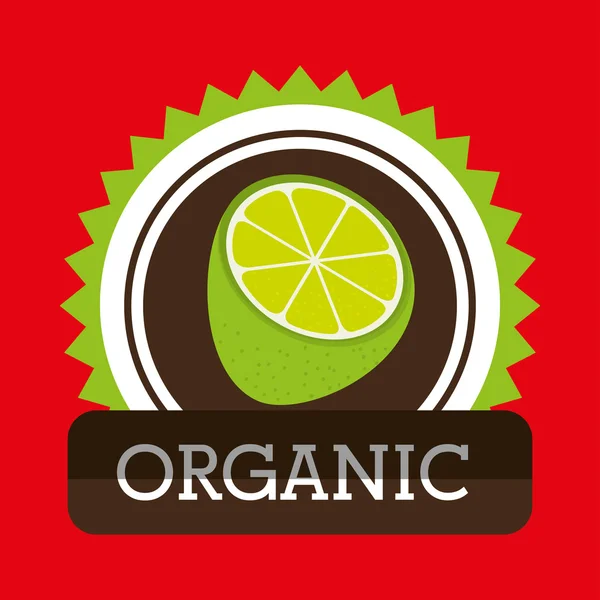 Organic food fruit icon — Stock Vector