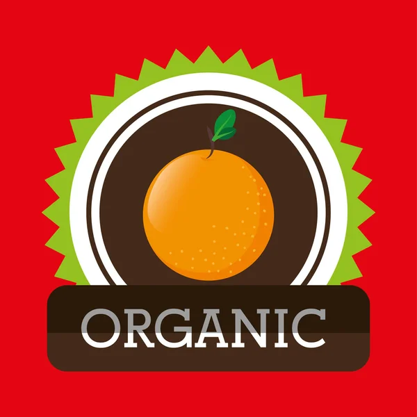 Organik gıda meyve simgesi — Stok Vektör