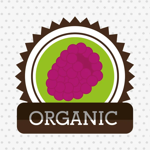 Organic food fruit icon — Stock Vector