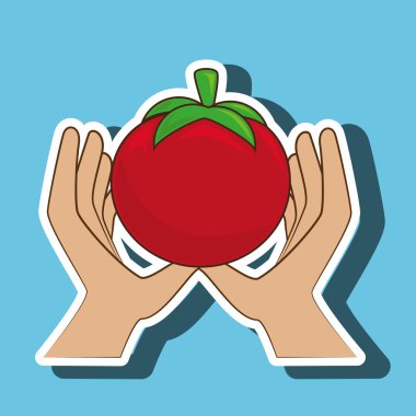 sebze yiyecek vegan el