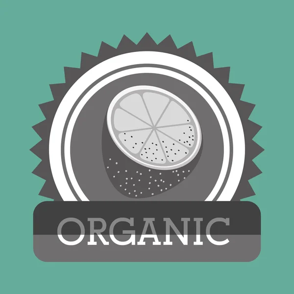 Ikona ovoce organické potraviny — Stockový vektor