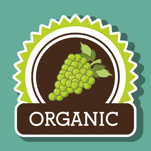 organic food fruit icon