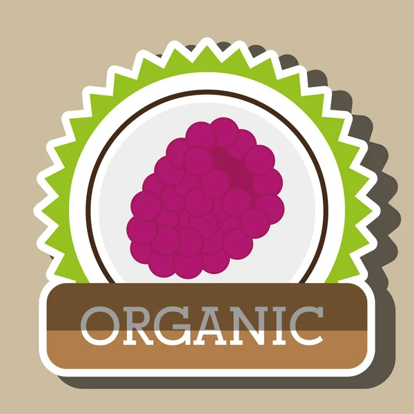 Organic food fruit icon — Stock Vector