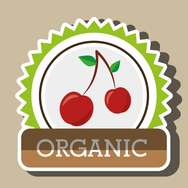 Biologisch voedsel fruit pictogram — Stockvector