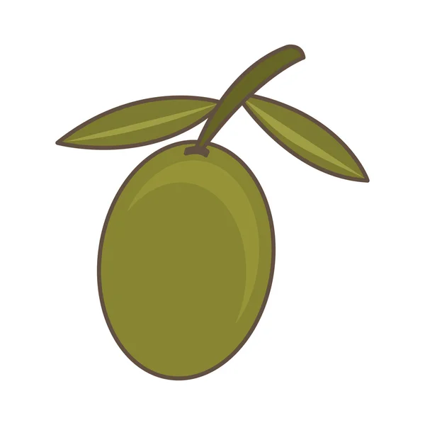 Olive seeds plant icon — Stock Vector