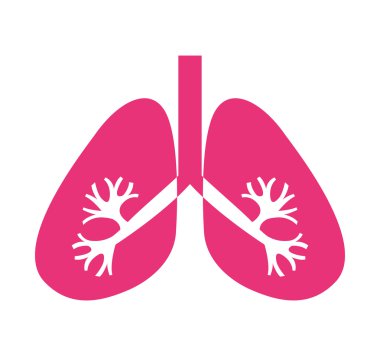 Akciğerler organ insan izole simgesi