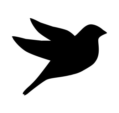 şirin kuş hayvan izole