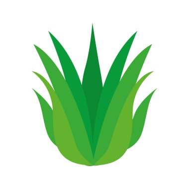 çiçek doğa simgesi yapraklar