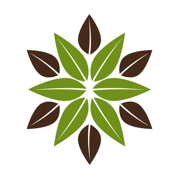 Leafs floral nature icon — Stock Vector