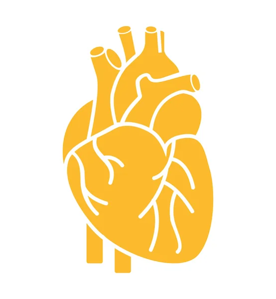 Organe cardiaque icône isolée humaine — Image vectorielle
