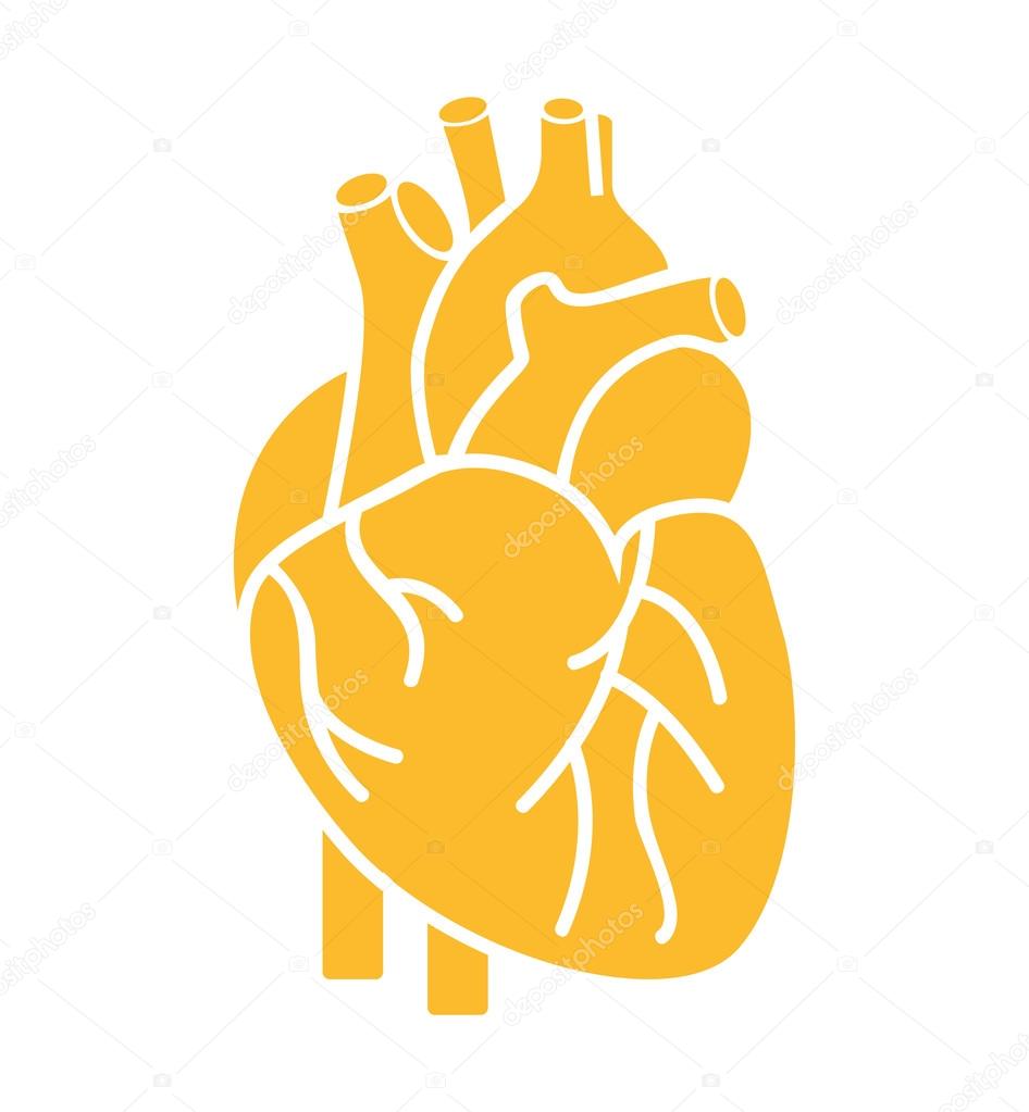 Free Free Heart Organ Svg 710 SVG PNG EPS DXF File