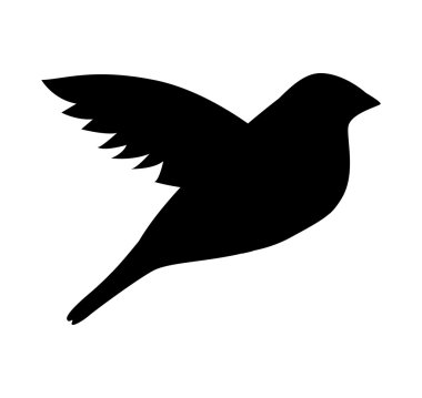 şirin kuş hayvan izole