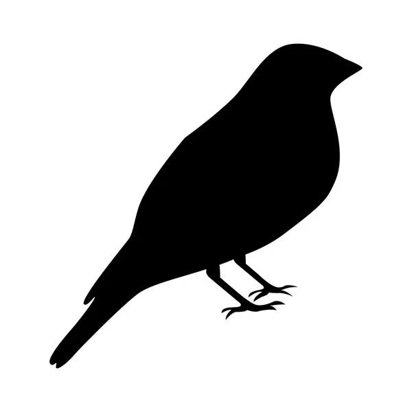 Cute bird animal isolated — Stock Vector