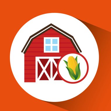 Mısır ve güneş simgesi