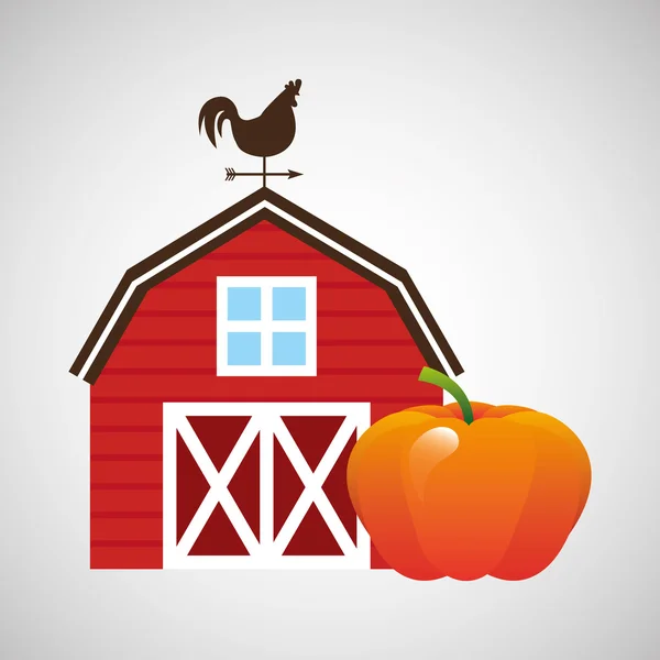 Farm and pumpkin icon — Stock Vector