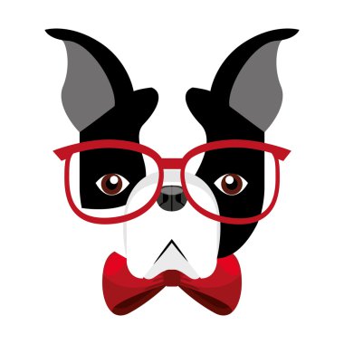 şirin bulldog izole simgesi