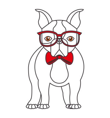 şirin bulldog izole simgesi