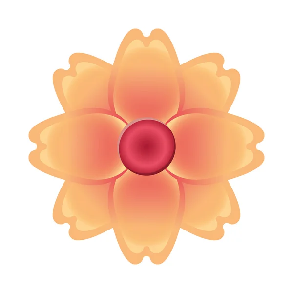 Květinové květinové přírodní ikona — Stockový vektor