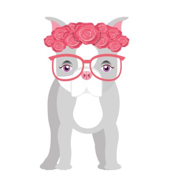 şirin bulldog izole simgesi