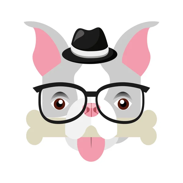 Aranyos bulldog elszigetelt ikon — Stock Vector