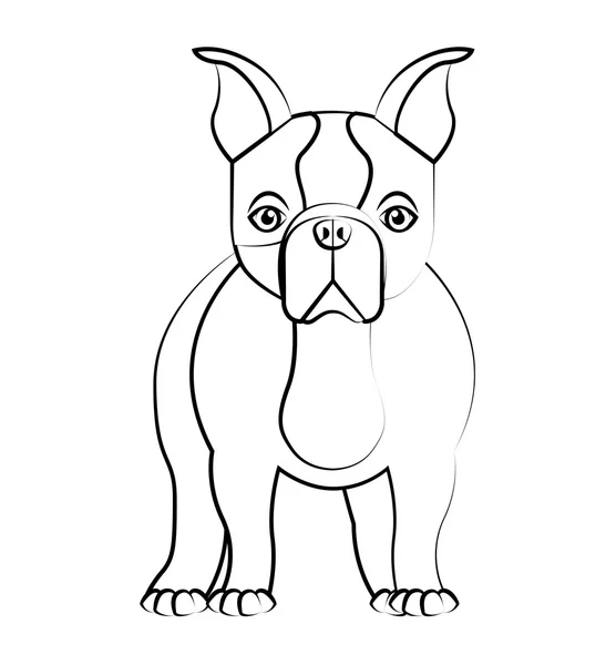 Söta bulldog isolerade ikonen — Stock vektor