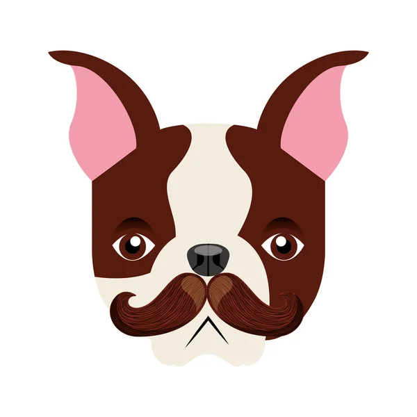 Mignon bulldog icône isolée — Image vectorielle