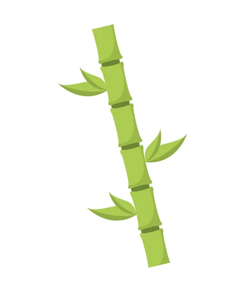 Bambu doğal bitki simgesi — Stok Vektör
