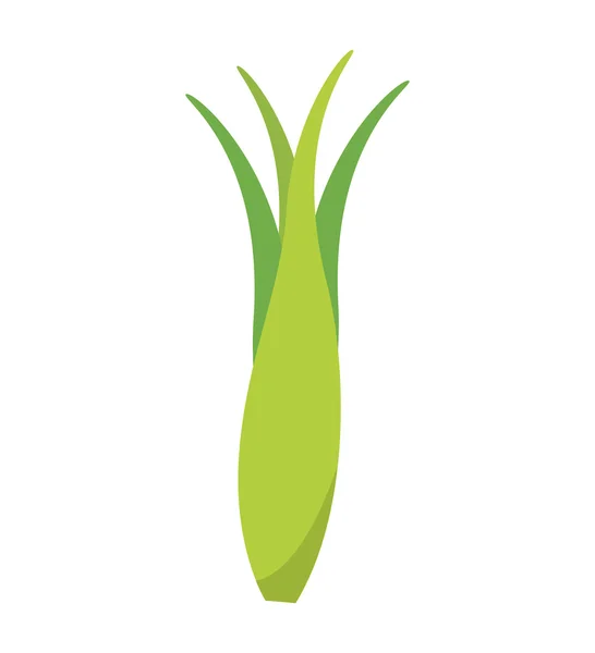 Ícone de saúde vegetal ramo cebola — Vetor de Stock