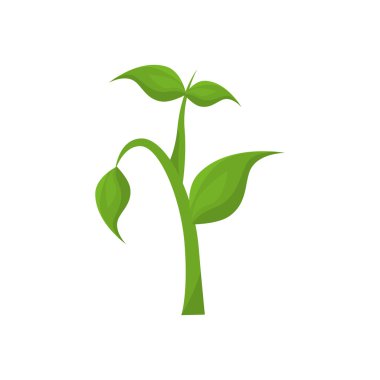 ağaç kök simge vektör grafiği büyüyen bitki