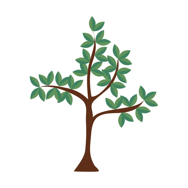 Árbol planta hojas naturaleza verde icono vector gráfico — Archivo Imágenes Vectoriales