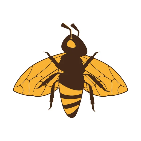 Mel de inseto abelha ícone vetor gráfico —  Vetores de Stock