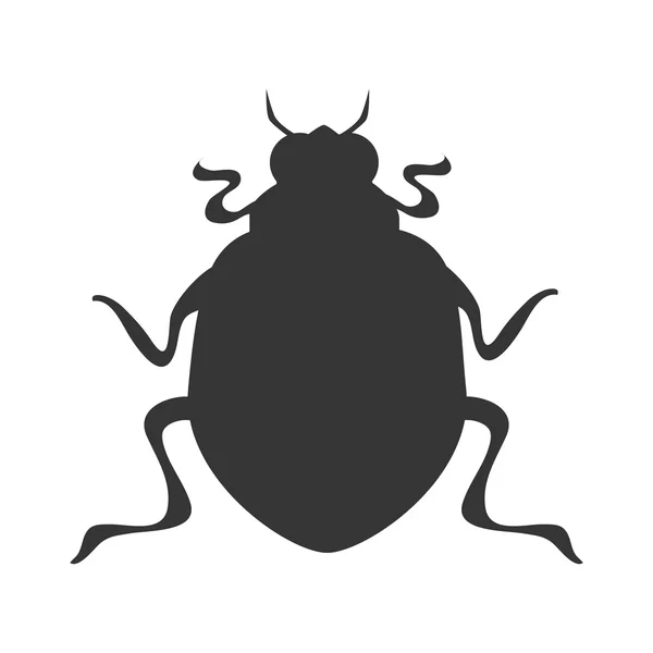 Bettle scarab insect icon vector graphic — Stock Vector