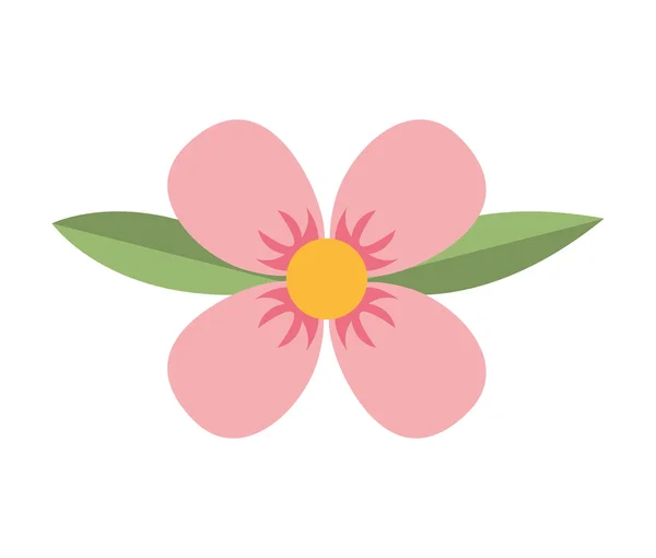 Květinové květinové přírodní ikona — Stockový vektor