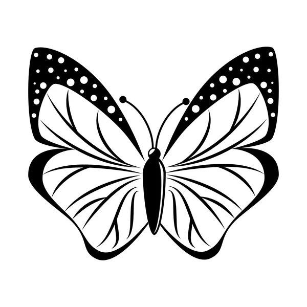 Silhouette d'aile d'insecte animal papillon — Image vectorielle