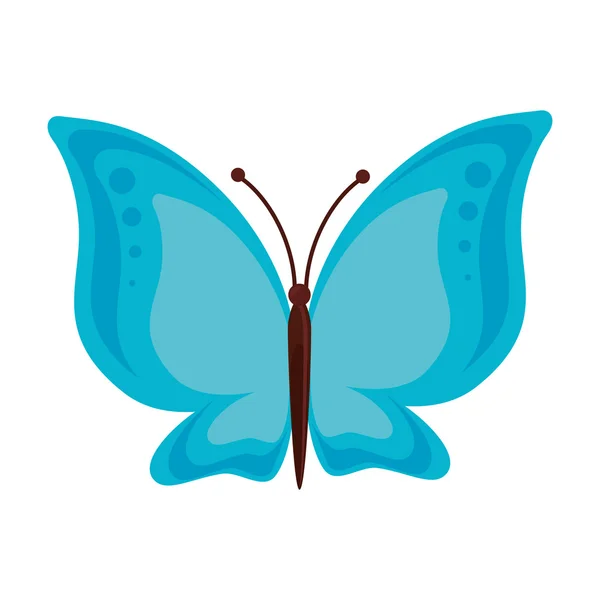 Mariposa animal insecto ala — Vector de stock