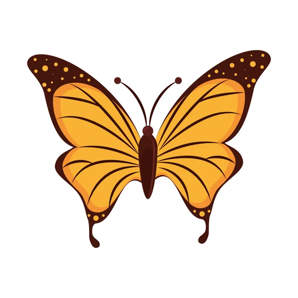 Mariposa animal insecto ala — Vector de stock