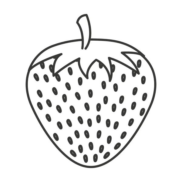 Fresa fruta aislado icono — Vector de stock