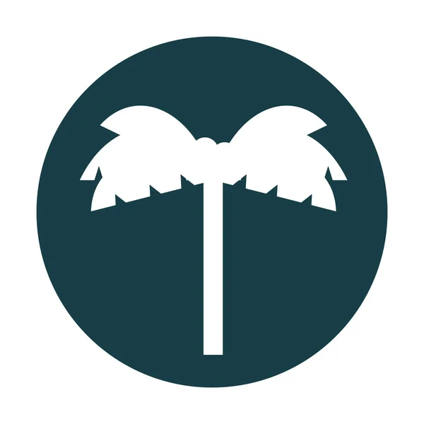 Het pictogram voor het silhouet van palm tree — Stockvector