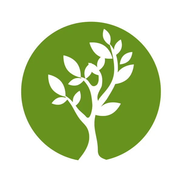 植物の緑自然 — ストックベクタ