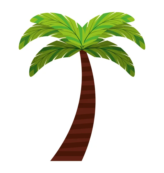 Levelek természetes palm trópusi ikon — Stock Vector