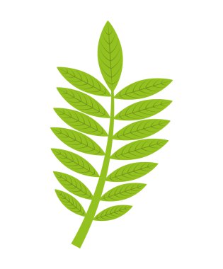 sonbahar dekorasyon sezon simge yapraklar