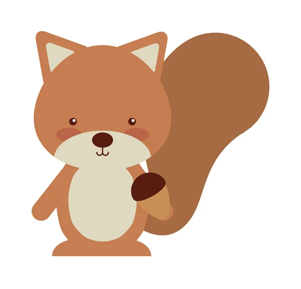 Ormanlık sincap hayvan karakter sevimli simgesi — Stok Vektör