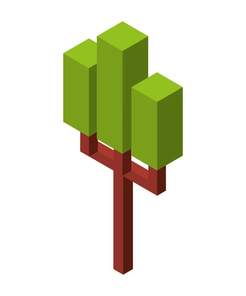 Árbol planta ícono isométrico — Vector de stock