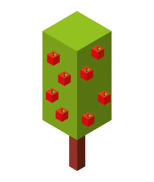 Drzewo roślina izometryczny ikona — Wektor stockowy