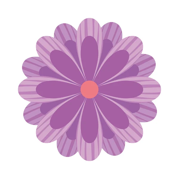 Fleur floral nature icône — Image vectorielle